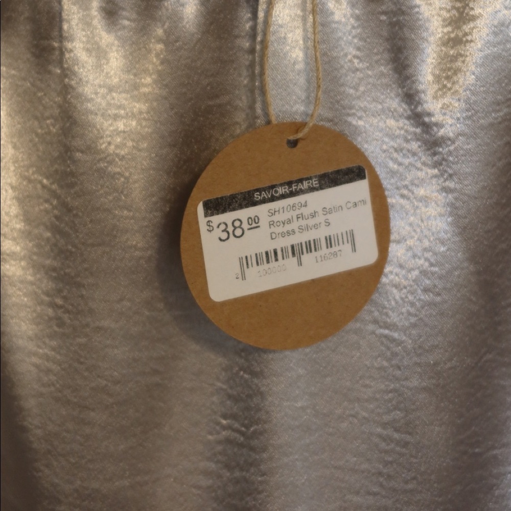 Essue Shimmery Silver Dress - Picture 4 of 5